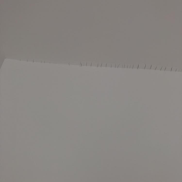 B778D7C8-A425-4140-996E-C2E6C5CAFCE7.jpeg