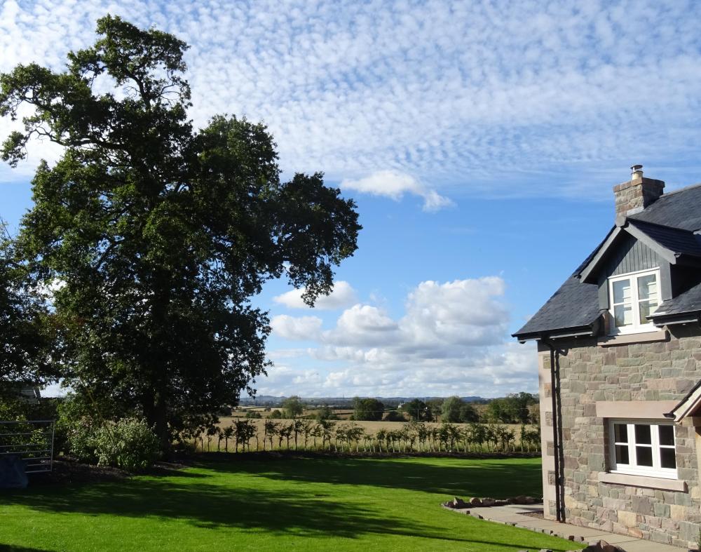 DSC01539_(2).JPG
