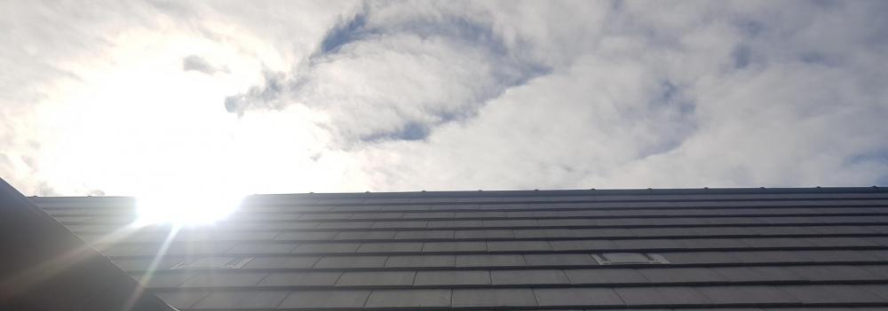 20210613_075047.jpg