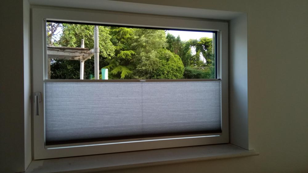 IMG-20210614-WA0009.thumb.jpeg.420faa6d8994a15defe540e389c409af.jpeg