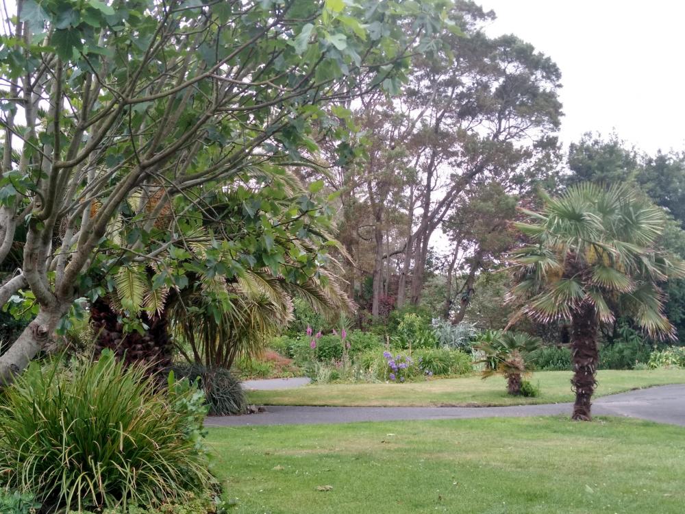 IMG_20210621_174212867_HDR.jpg