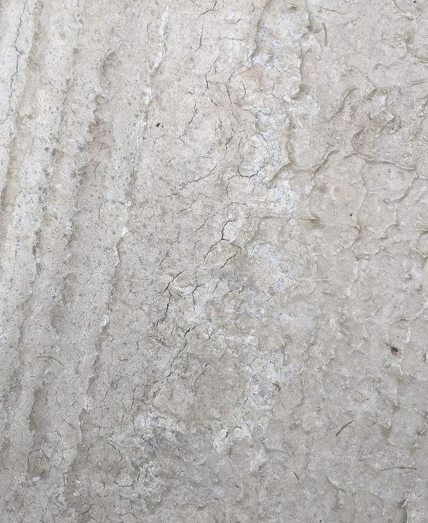 image.png.bb3a23dd4b1fa6e2c1e45d38a78c74b3.png