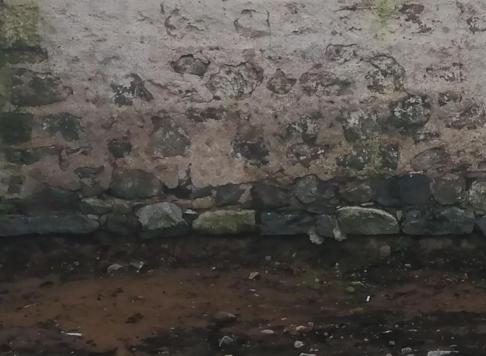 1609059461_wallinnercropped.thumb.jpg.41f2036df4471de234d13470a7c233ec.jpg