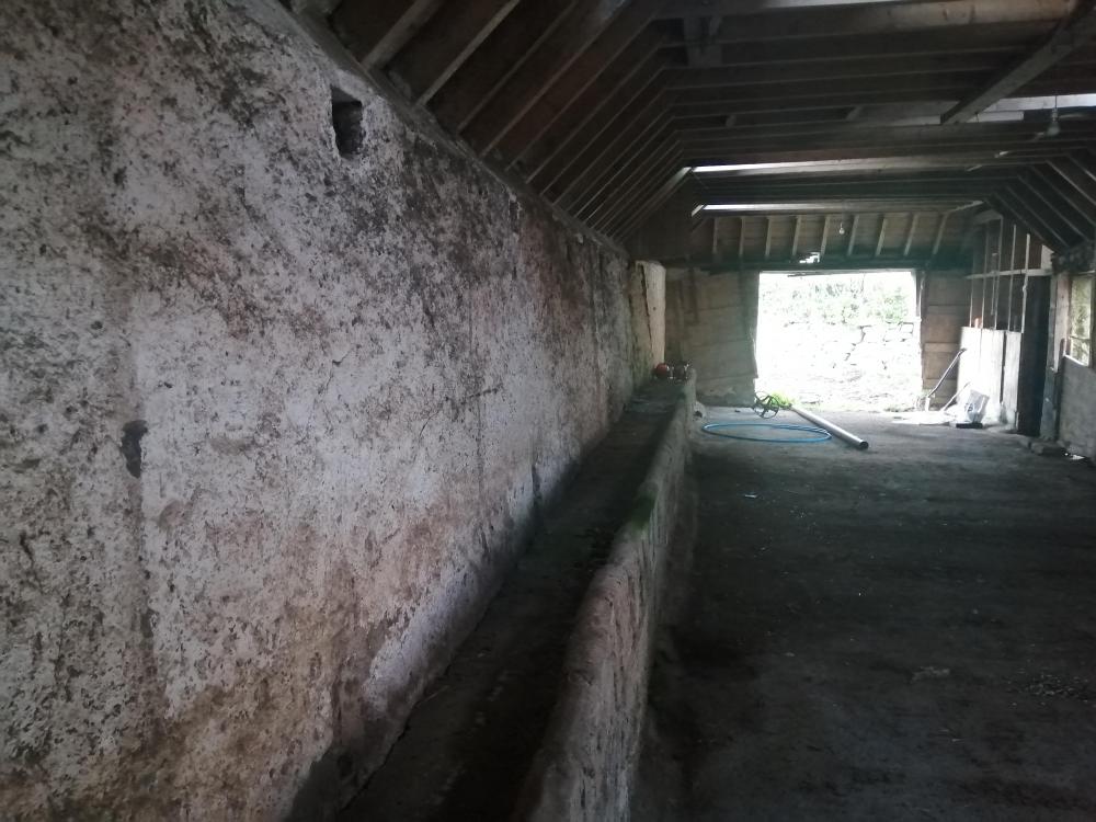Byre_photo_2.thumb.jpg.1dd75adc435a523d66bf277169ed82c6.jpg