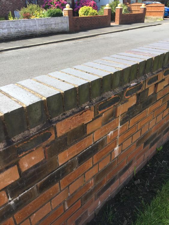 Front_Wall_(15).JPG