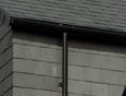 image.png.4e1cfc9e9045e2b7ee1bd2dffe601934.png