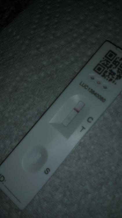 1631900847796-647933482.thumb.jpg.b02c84ae84566b9e4d5e8497716e742b.jpg