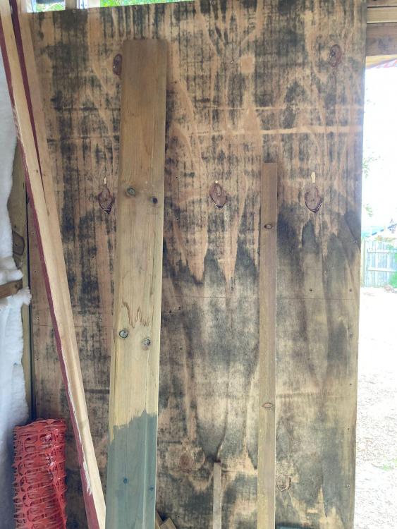 mildew ply 2.jpeg