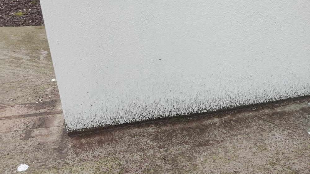 1734375334_Nonfrenchdrain.thumb.jpg.7b613ea98674d9928dd2cd90d5ff96ab.jpg