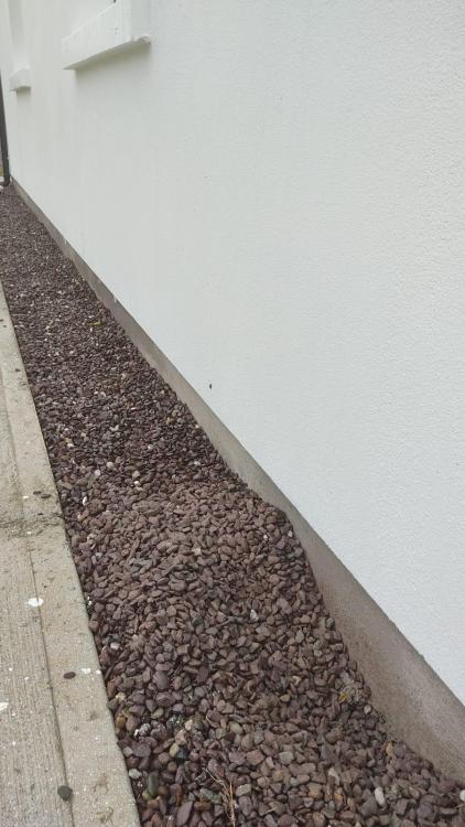 38066304_Frenchdrain.thumb.jpg.6df5f4ad7f68db8f185e760ca126e5ee.jpg