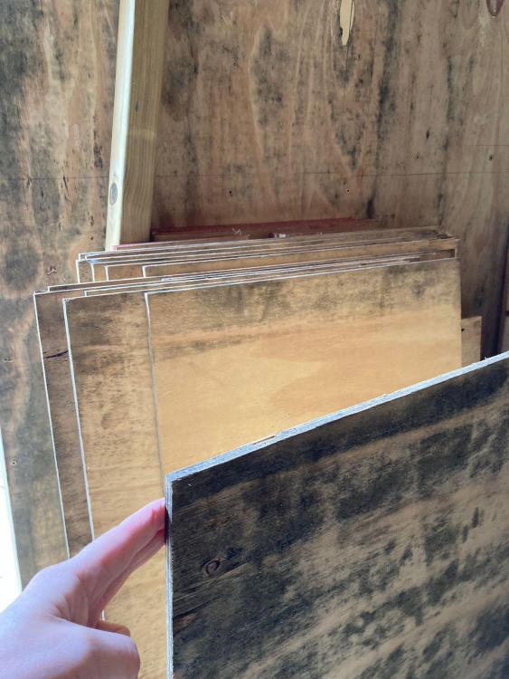 mildew ply 1.jpeg