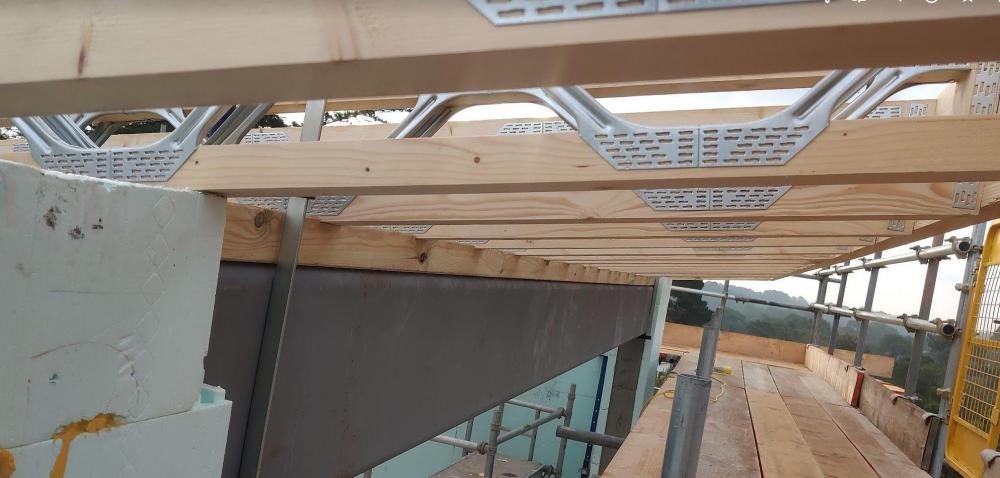 roof1.JPG