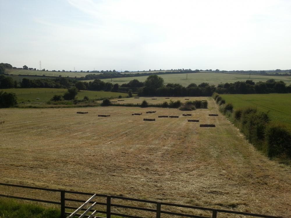 20130708_173827.jpg