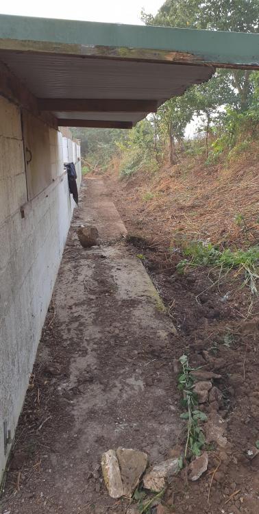 back_passage_cleared2.thumb.jpg.1d68ad722d50c6a034de9710d1491dc8.jpg