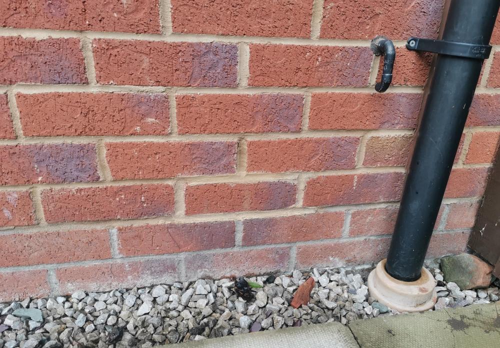shrunk_Good_Side_Wall_Nov_2021.jpg