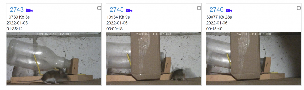 466672954_Screenshot2022-01-0621_13_34.thumb.png.b44ee289eee6c5e8e93573bd83d751fd.png