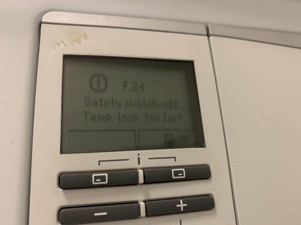 A1B4157E-5FB2-417D-A98E-C450E71C7790.thumb.jpeg.5a8aee8c4cb439f4b1313d710b6db15e.jpeg