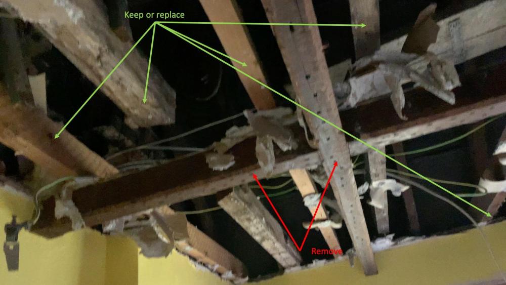 plaster-removed-annotate.thumb.jpg.95f428d129ac16b077d865c69fc366c7.jpg