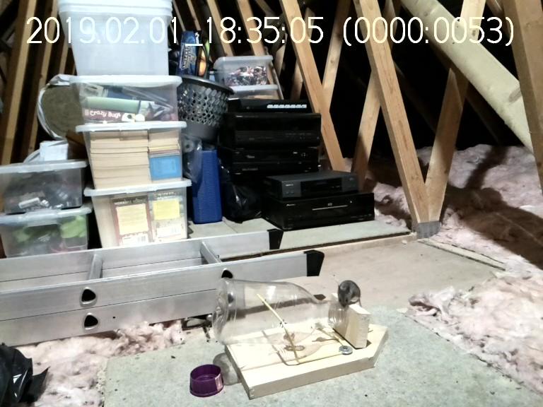 vi_0705_20190201_183451_Moment.jpg.9bb8da1e86d377b7b76d8e2e40e3d1f2.jpg