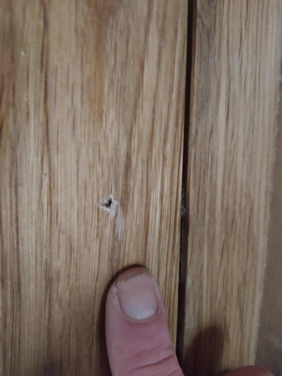IMG_20220201_093401.thumb.jpg.7becf37cbb69826bbe0a59d587d7ab4b.jpg