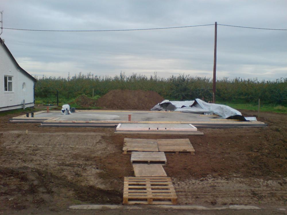 WSC00046.thumb.JPG.e6724a97ef2029b02d855a3a2e7ac48a.JPG