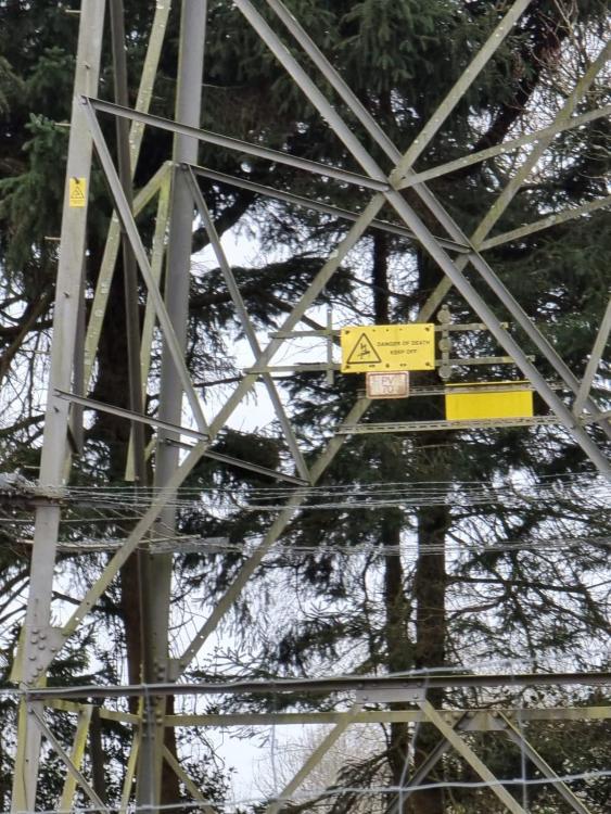 pylon.jpeg
