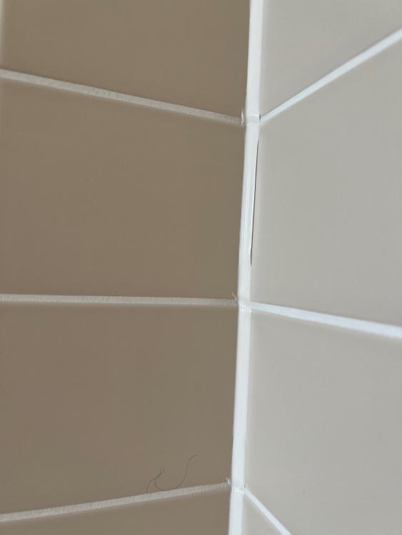 image.thumb.jpeg.a9f132ad904f94d75fa698a7b32e6007.jpeg