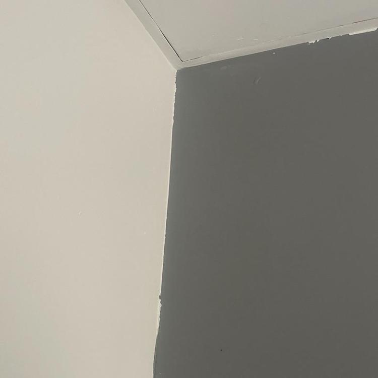 9EF48522-C224-48C0-8722-4F4B7DACB426.jpeg
