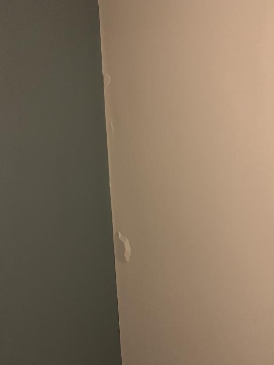 FDE028ED-6AD2-40A7-B6C3-A19D070E3B09.jpeg