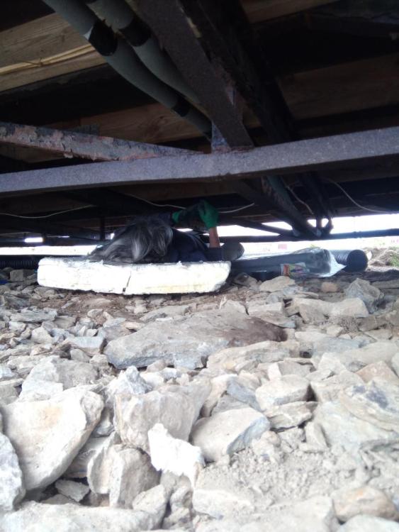 mandy_insulate.thumb.jpg.742d2282c14f6aa2581a3c23ca132ca2.jpg