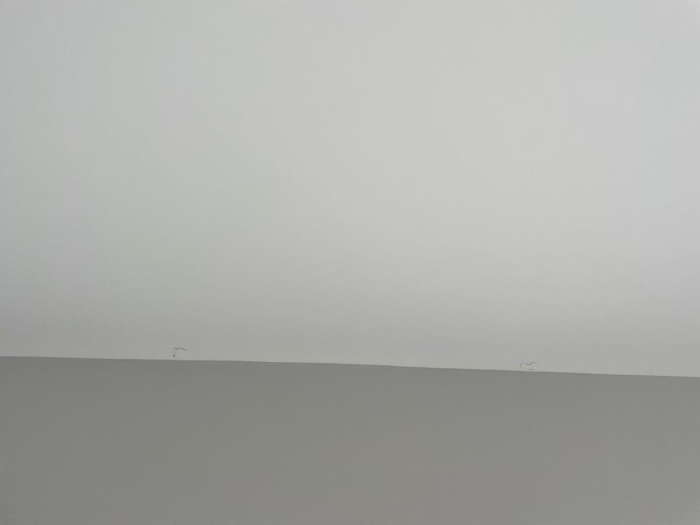 2CA248B0-A84C-4208-9641-AEC859B1E221.jpeg