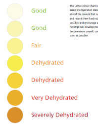 images.png.87e826f77e5979979a8405ae054b7ae1.png