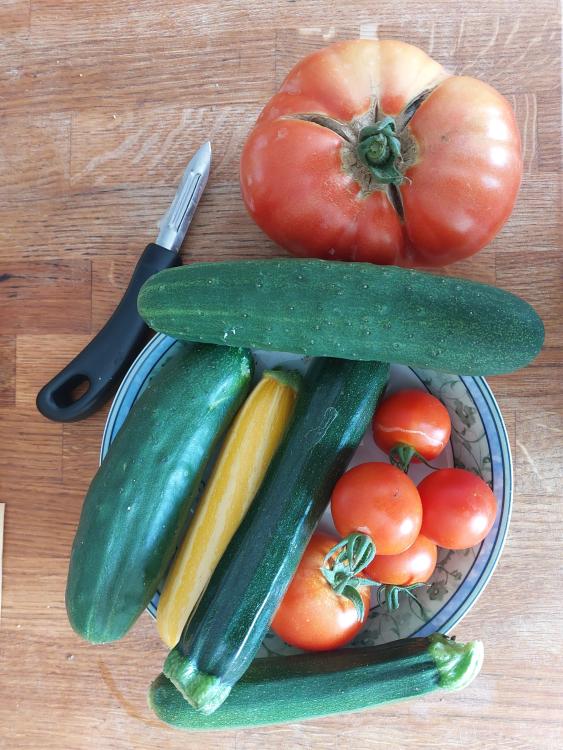 20220818_151211.jpg
