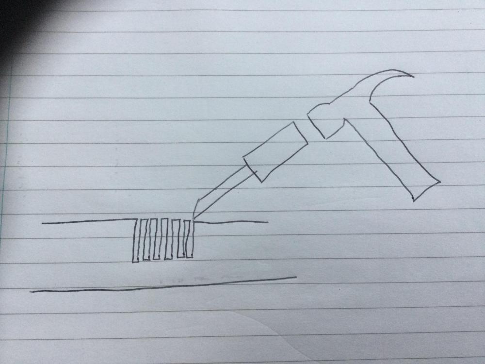 image.jpg