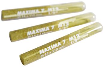 maxima.jpg.4188d0d2c1fa73bee3c04a3ce6462b41.jpg