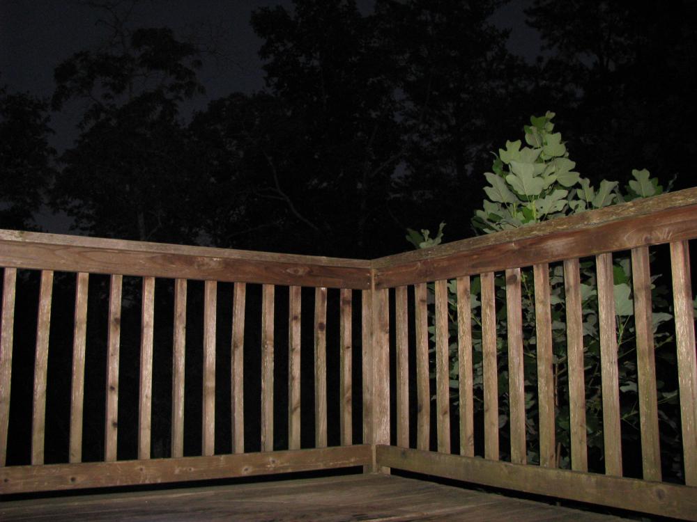 Deck_Railing.thumb.jpeg.c7d0612d01d929b48d5addd661f8575e.jpeg