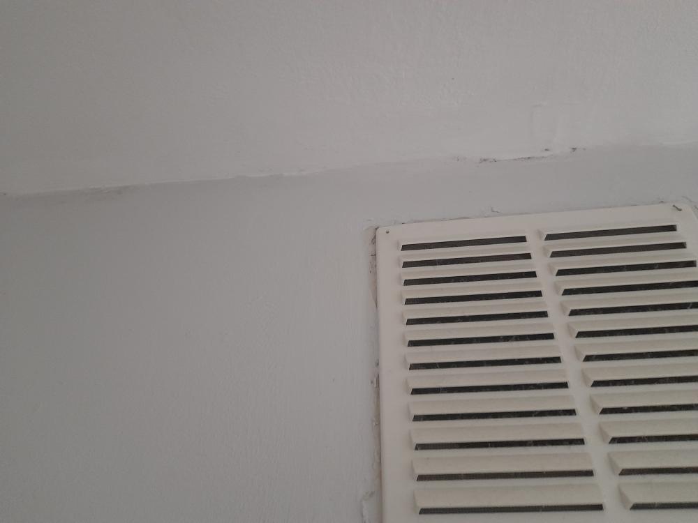 20220930_135404.jpg