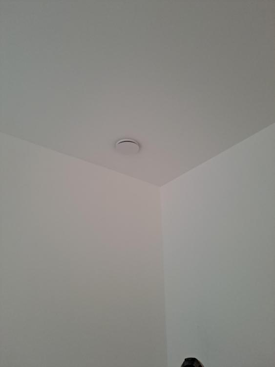 16701674611641982710211296428626.jpg