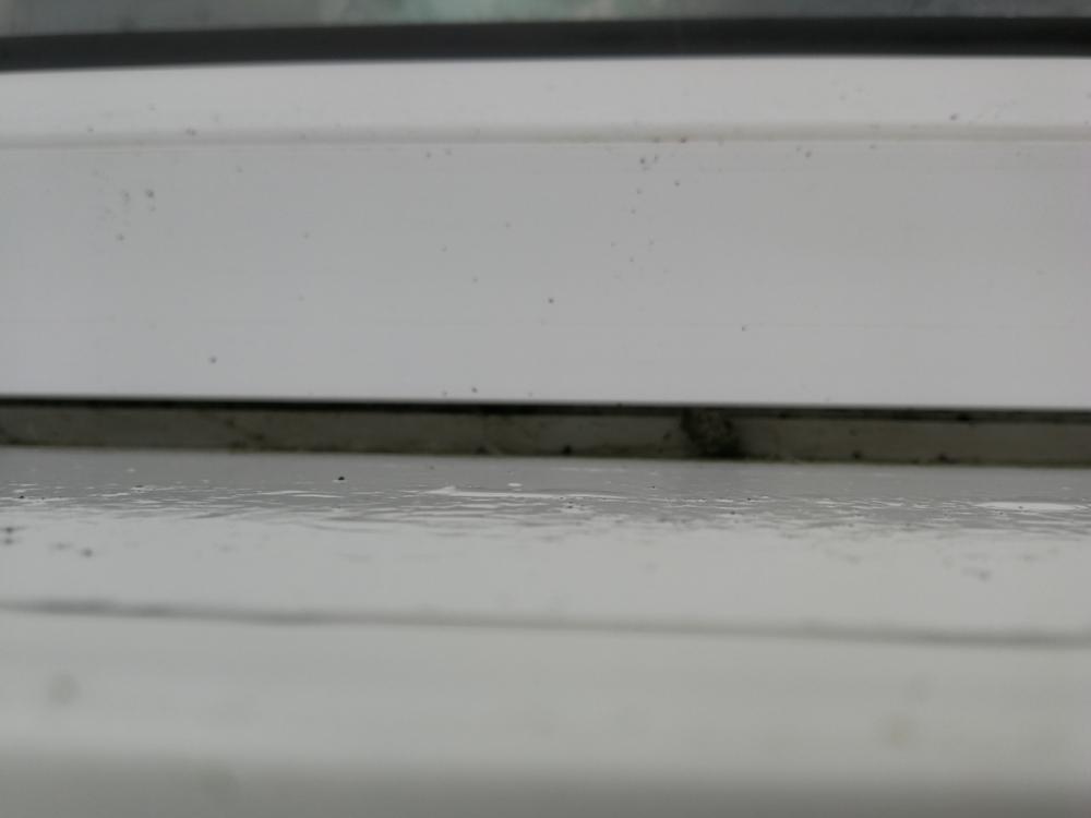 IMG_20230122_111648.thumb.jpeg.6abf0ec1d95d40c8f4a14b94ad4ba498.jpeg