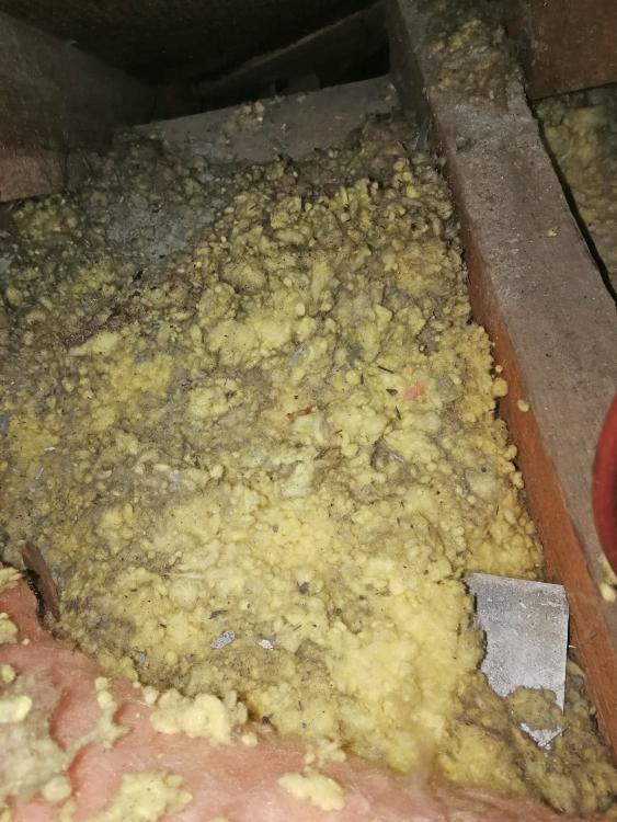 loft-insulation1.thumb.jpg.823263bc36576aeef4323d34a8963ffa.jpg