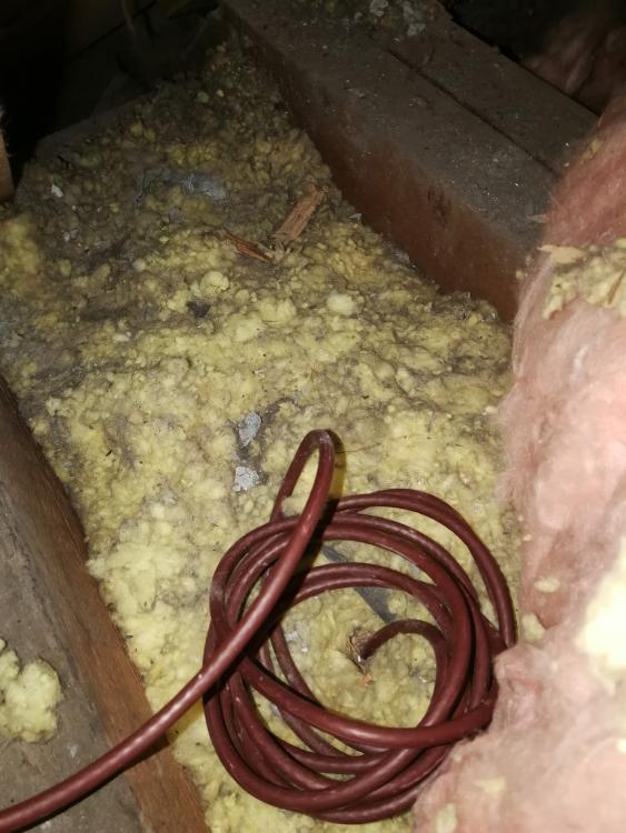 loft-insulation2.thumb.jpg.45f948a1dc8e71b624542de99d2e70f5.jpg