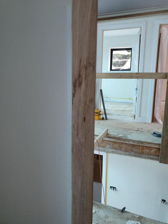 20230414_081305_resize_50.thumb.jpg.a039d4eefde4f79bbbb31f8408463218.jpg
