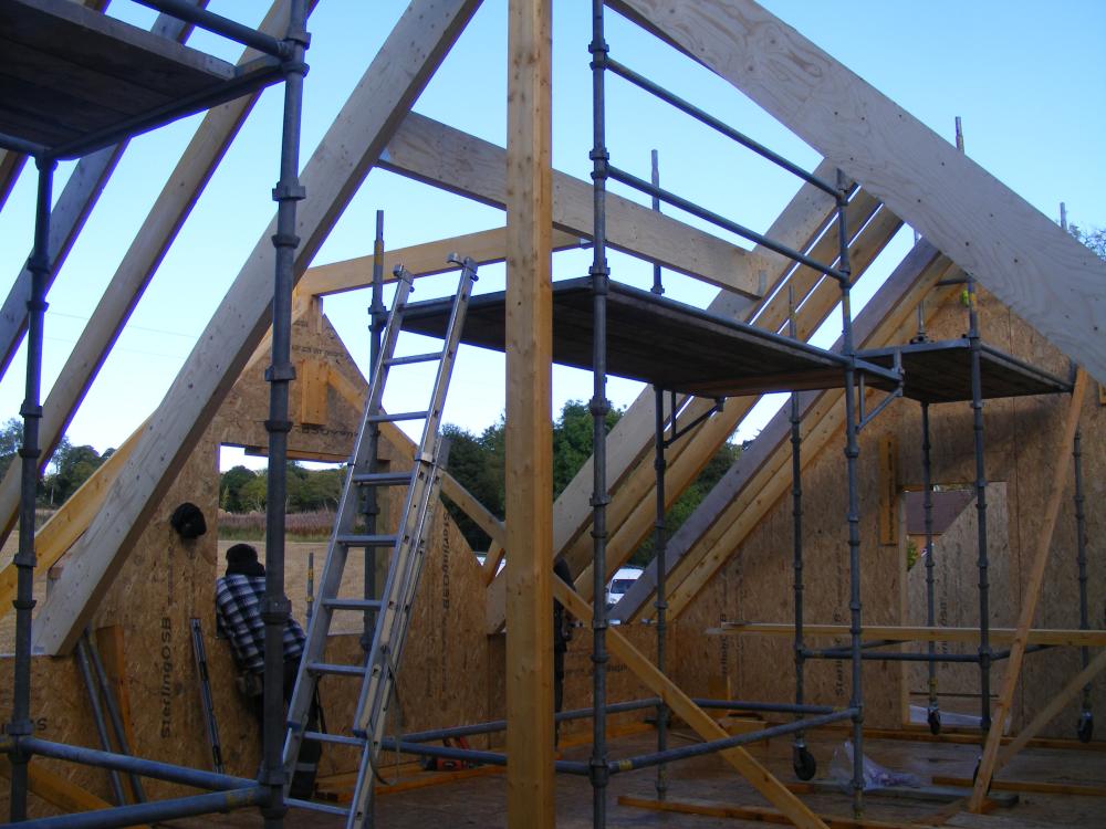 roof_2.jpg