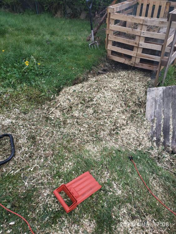 shredded.thumb.jpeg.09a3c68d9a8b75a36968cb546c06e98f.jpeg