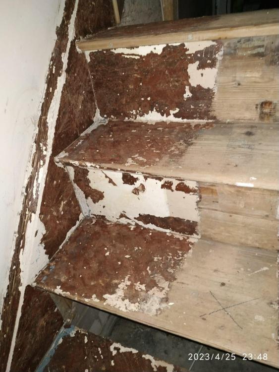stairs2.thumb.jpeg.e31db31fd2d0ec66014aa5339b00dfee.jpeg
