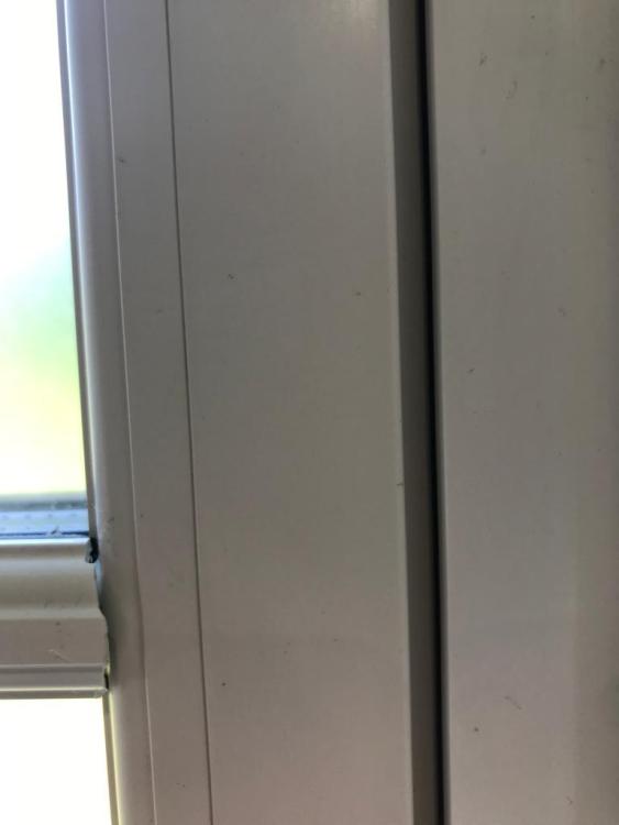 6BB101FE-15AF-4628-90EC-67EBDA201FEF.jpeg