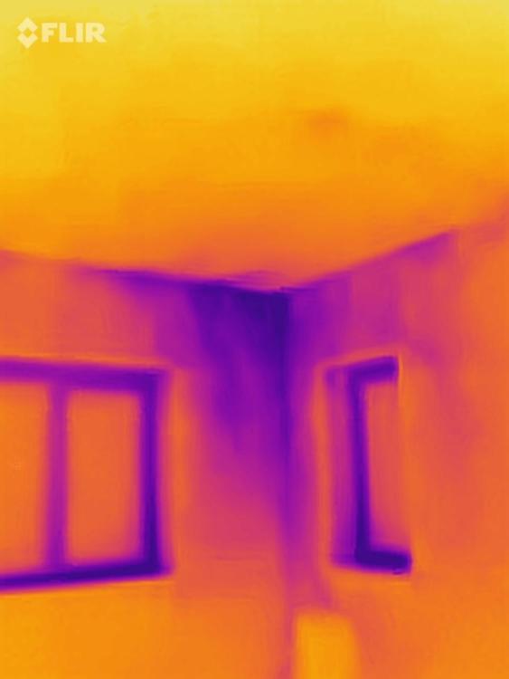 Flir1.jpg