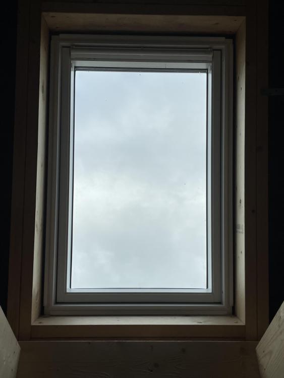 IMG_9981.jpeg