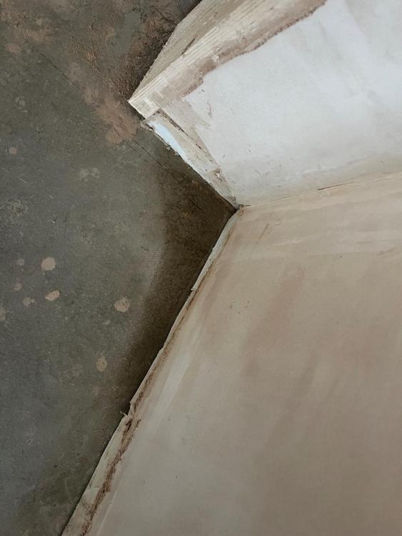 damp.thumb.jpg.2e72db04e95823fc7a1937ff47aa6622.jpg