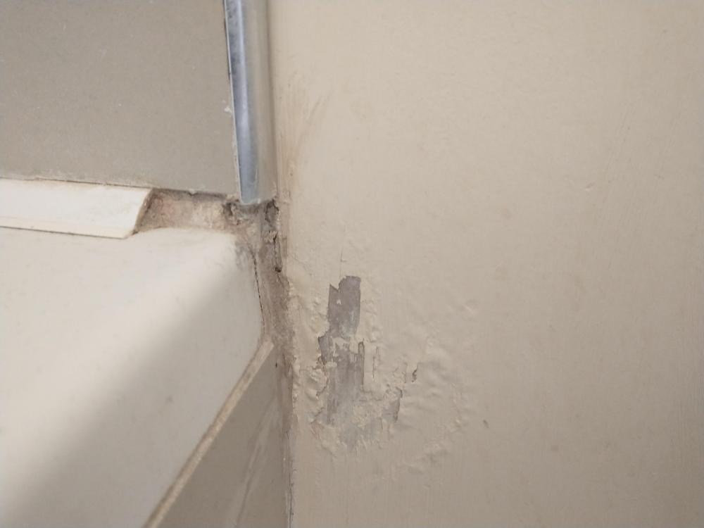 image.thumb.jpeg.462d7890a3409da309a68a9e05b9c9be.jpeg